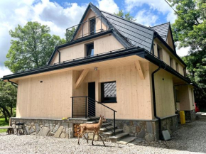 Chata Apart Zakopane
